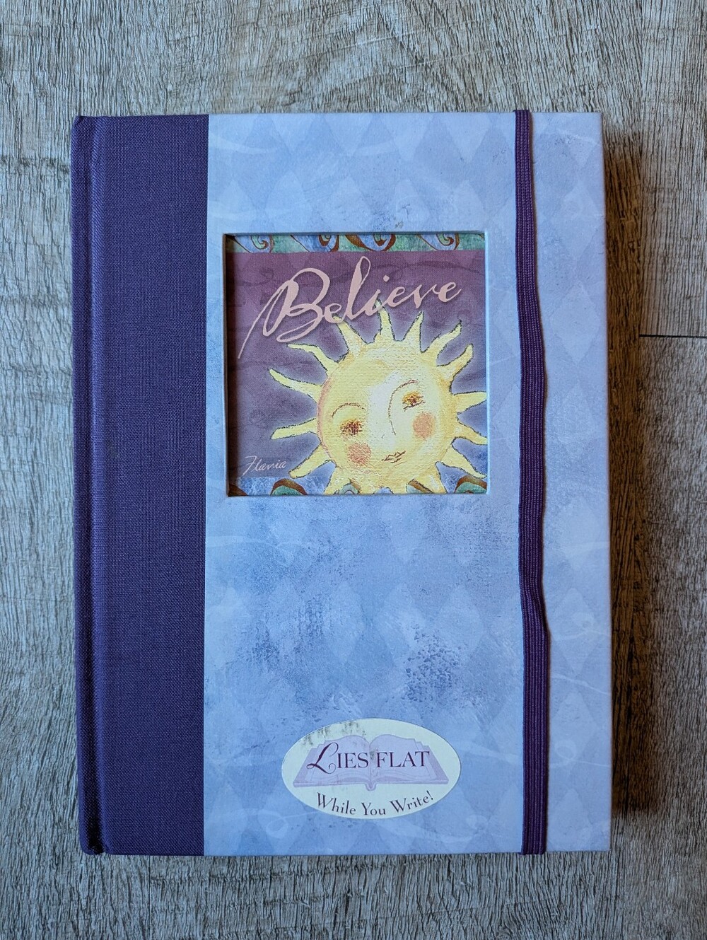 Flavia Weedn Believe Celestial Blank Journal Sun Moon Stars Whimsigoth Y2K